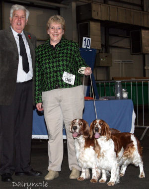 Gundog Breeds of Scotland Stakes Brace 2010 cropped.jpg - 37519 Bytes